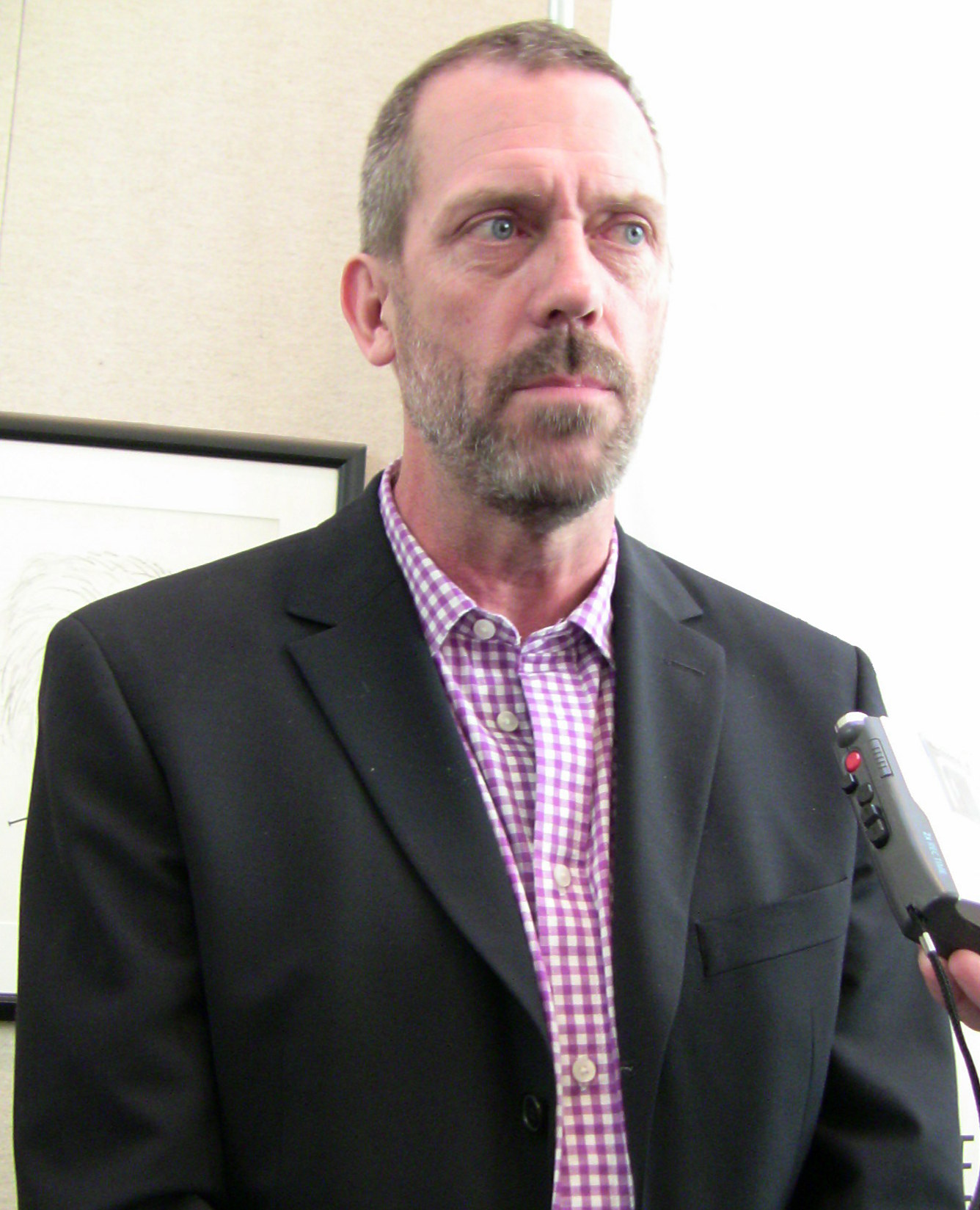 Imagem de referência relacionada a Hugh Laurie, item descrito como músico e ator britânico