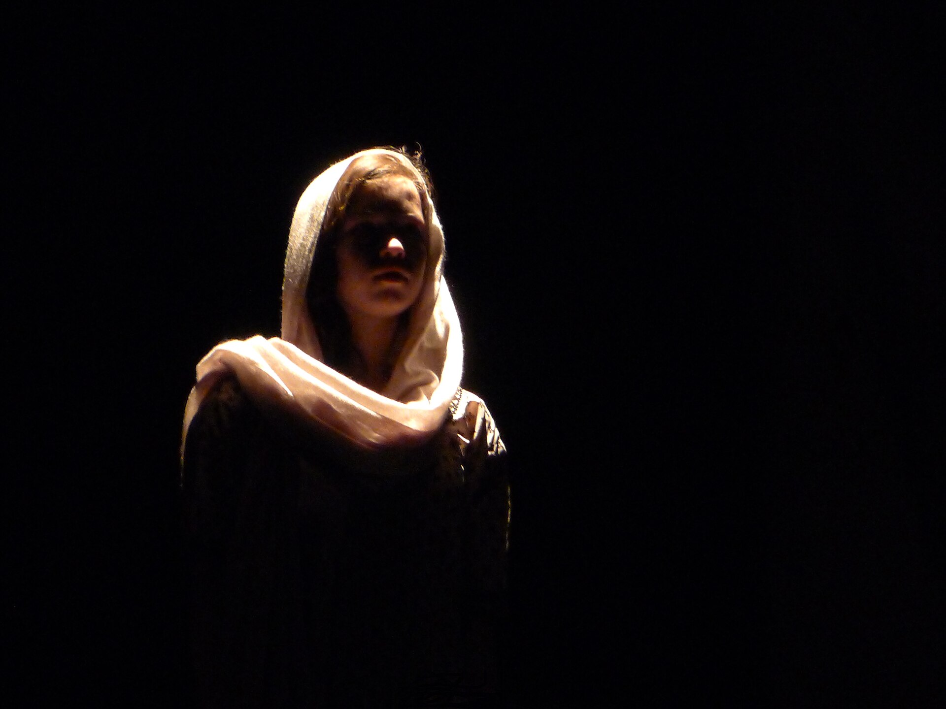 Imagem de referência de A mulher que canta, descrito nos dados abertos como peça teatral do dramaturgo libanês Wajdi Mouawad