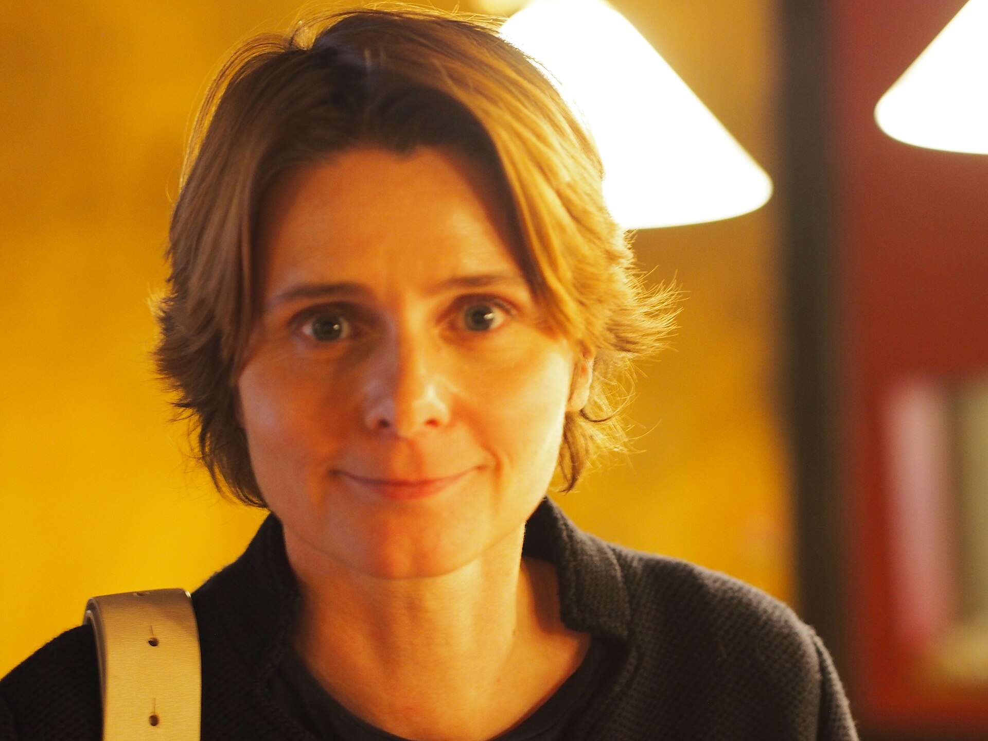 Imagem de referência relacionada a Caroline Fourest, item descrito como escritora francesa