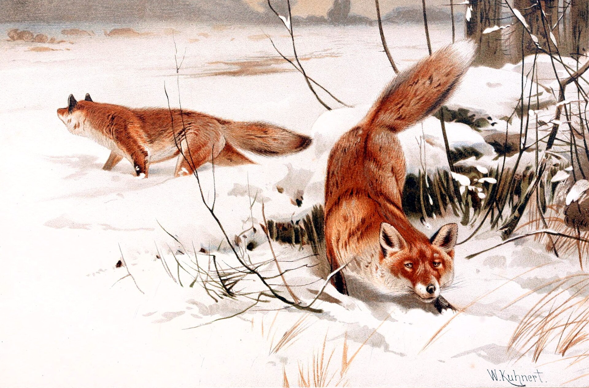 Imagem de referência de The Little Foxes, descrito nos dados abertos como filme de 1941 dirigido por William Wyler