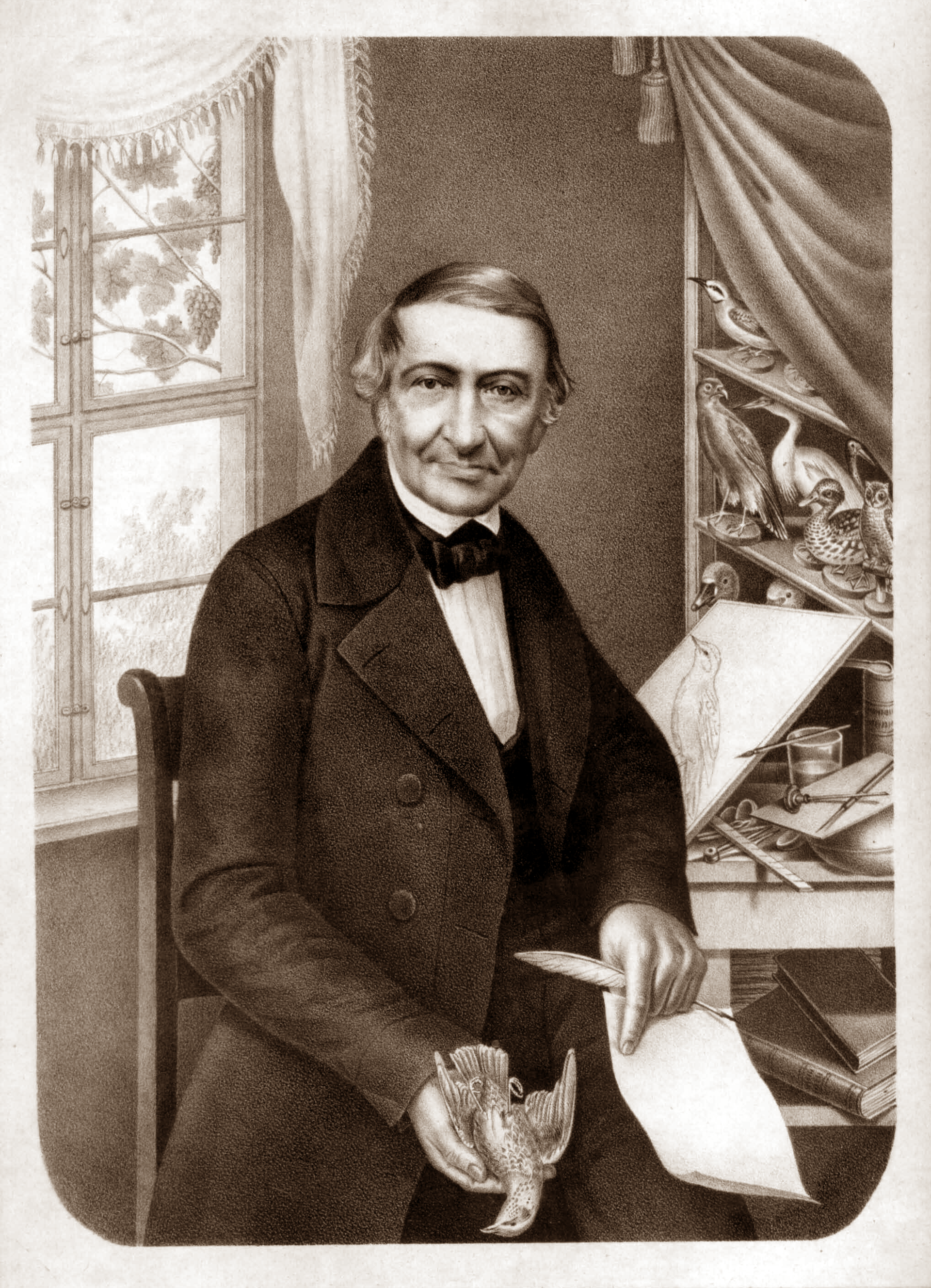 Imagem de referência relacionada a Johann Friedrich Naumann, item descrito como registro de referência sobre Johann Friedrich Naumann, organizado a partir de dados estruturados abertos