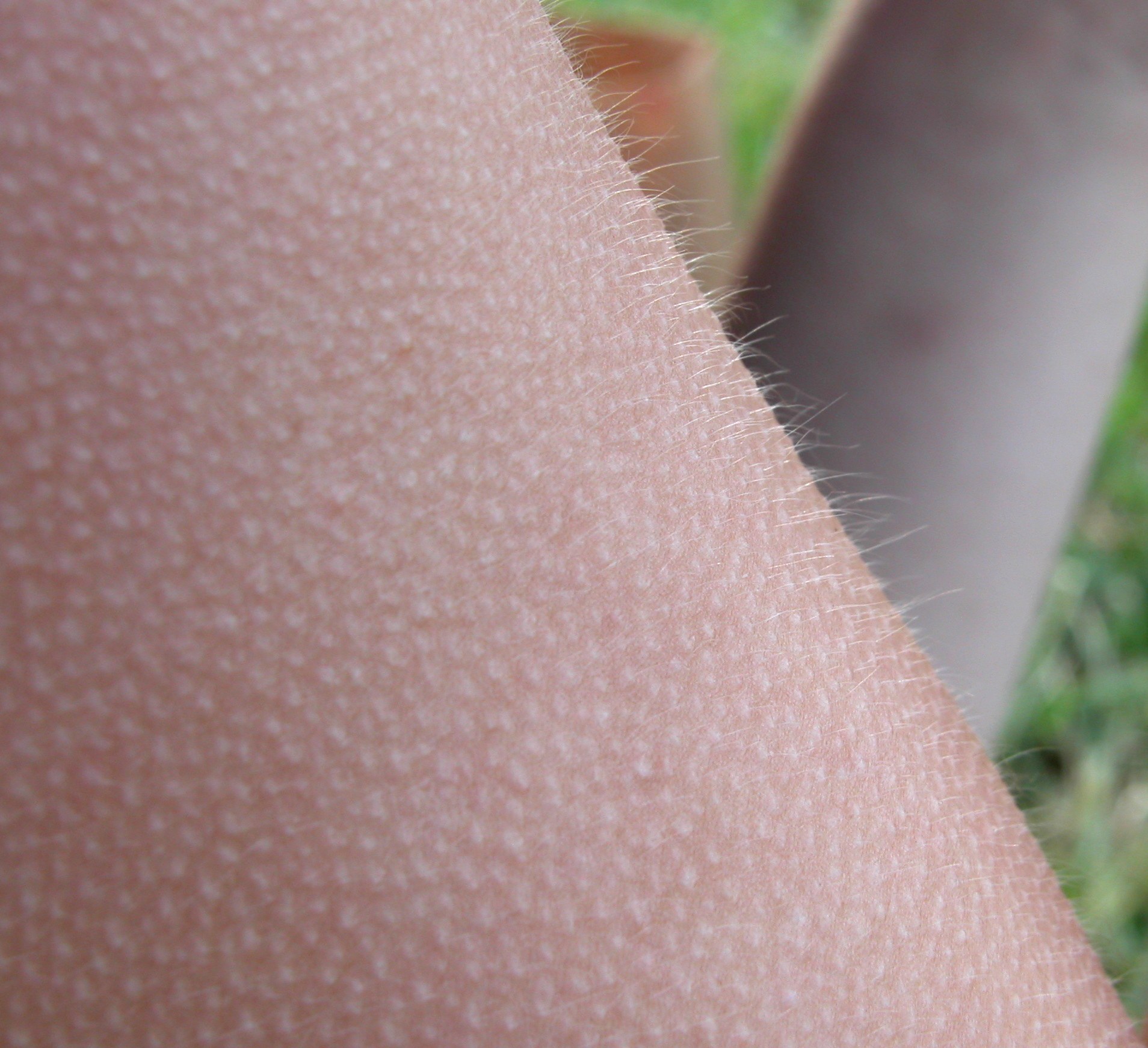 Imagem de referência relacionada a Goosebumps, item descrito como filme de 2015 dirigido por Rob Letterman
