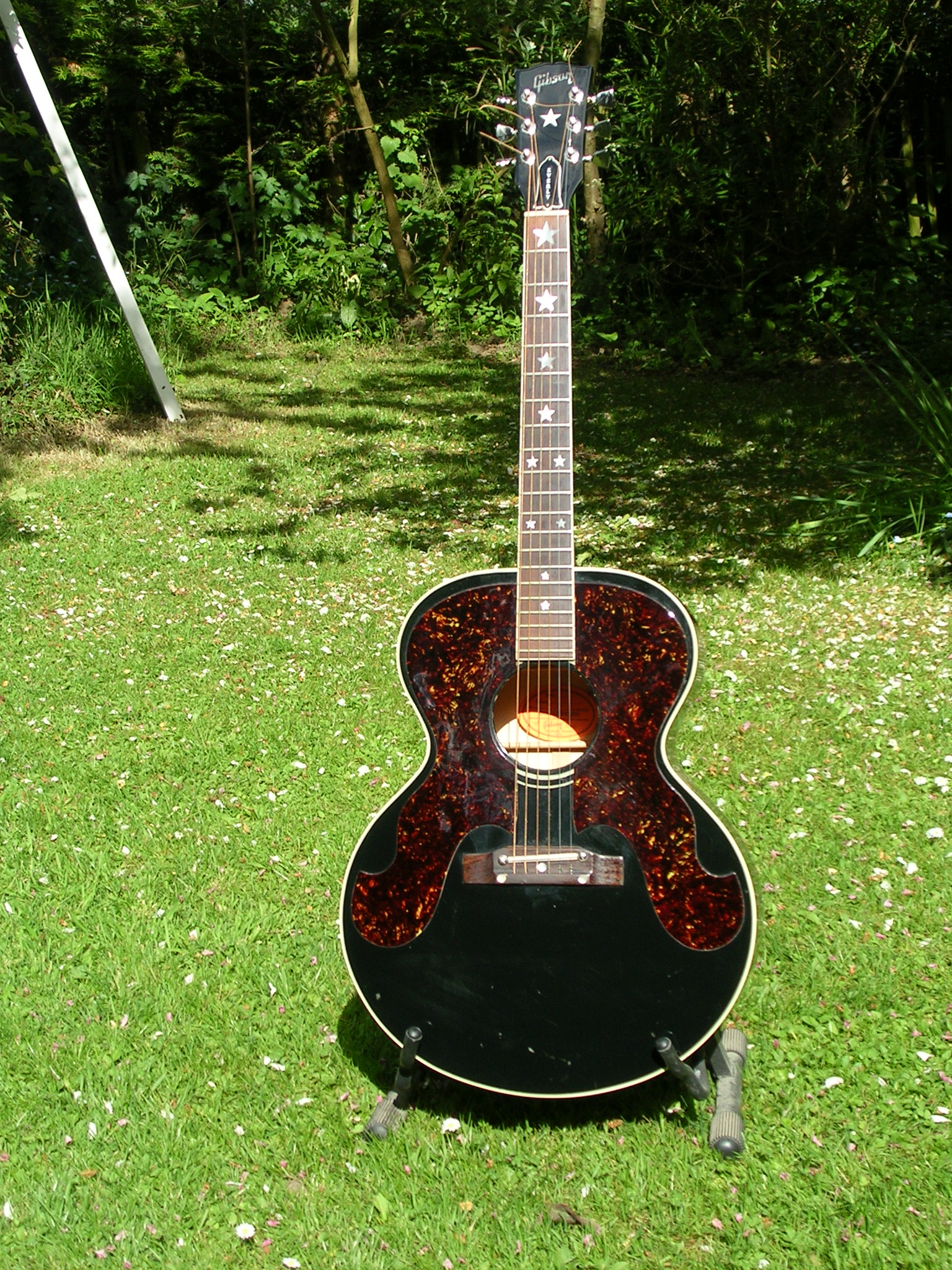 Imagem de referência de The Everly Brothers, descrito nos dados abertos como dupla musical estadunidense