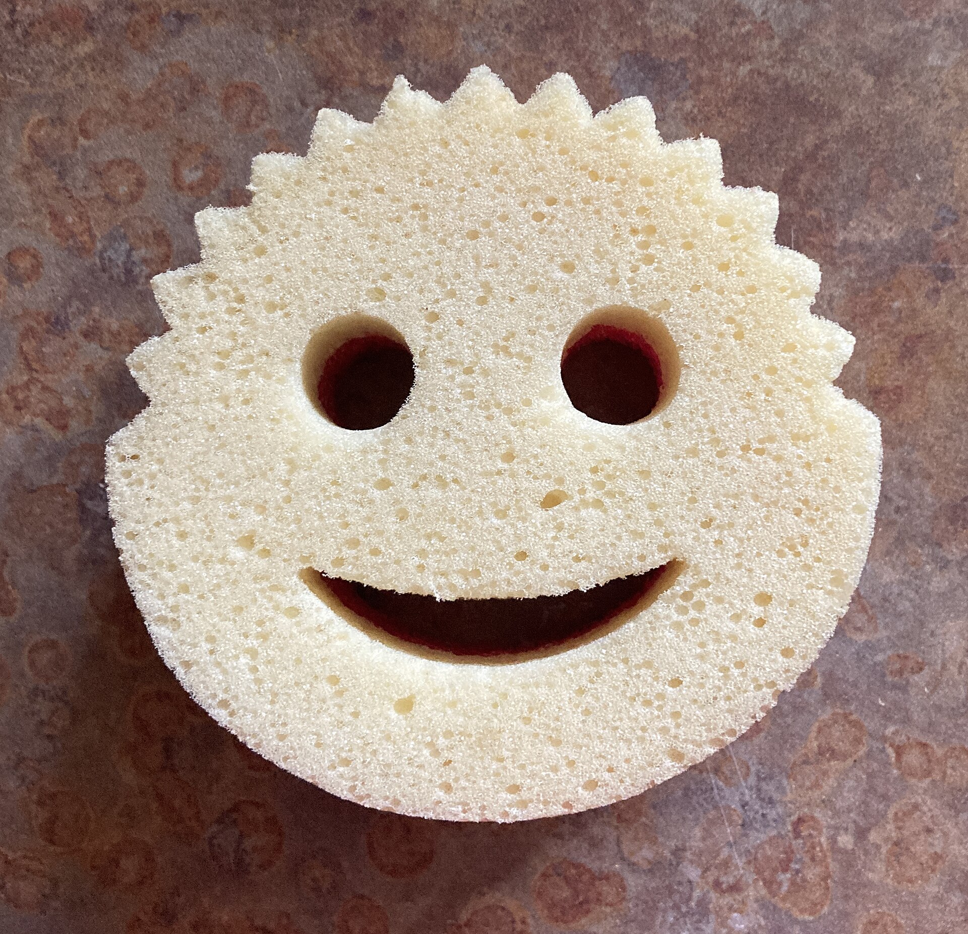 Imagem de referência relacionada a Scrub Daddy, item descrito como uma referência catalogada na área de economia