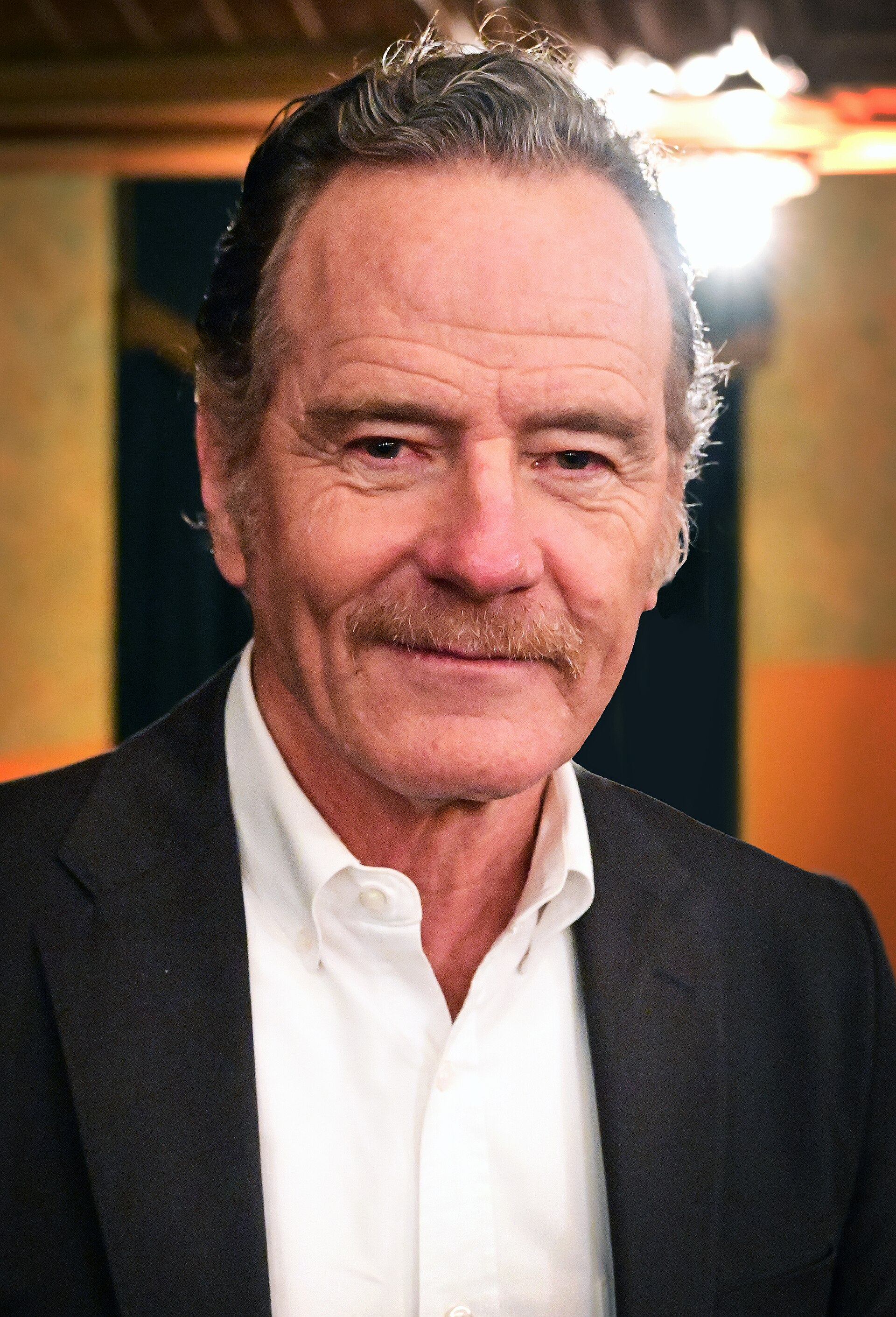 Imagem de referência relacionada a Bryan Cranston, item descrito como ator americano