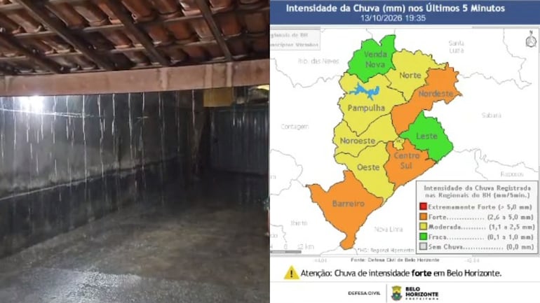 Temporal derruba árvores, atinge veículos e impacta fornecimento de luz de 320 mil clientes na Grande BH