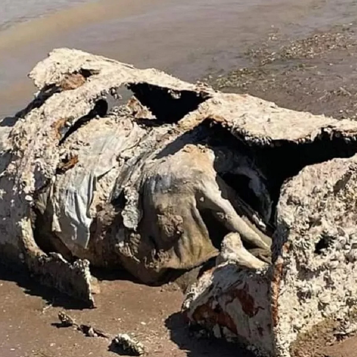 EUA identifica corpo de homem morto em1980 e achado em barril em 2022