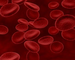 Azeite antes dos carboidratos pode reduzir picos de açúcar no sangue, sugere estudo