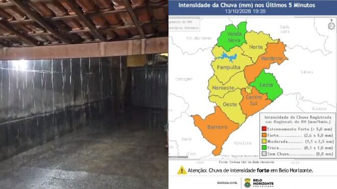 Temporal derruba árvores, atinge veículos e impacta fornecimento de luz de 320 mil clientes na Grande BH