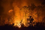 Relatório da ONU revela novo recorde de gases de efeito estufa