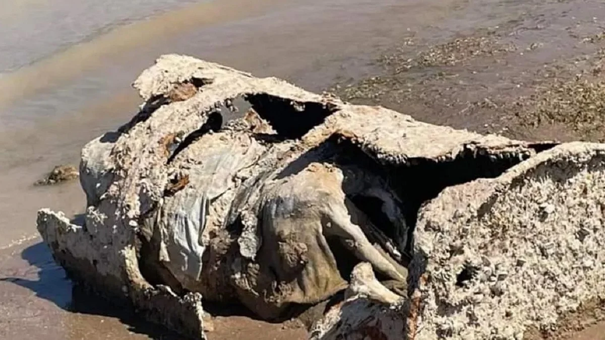 EUA identifica corpo de homem morto em1980 e achado em barril em 2022