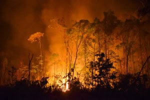 Relatório da ONU revela novo recorde de gases de efeito estufa