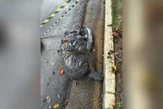 Polícia investiga 12º corpo achado sob condições parecidas em 47 dias em SP