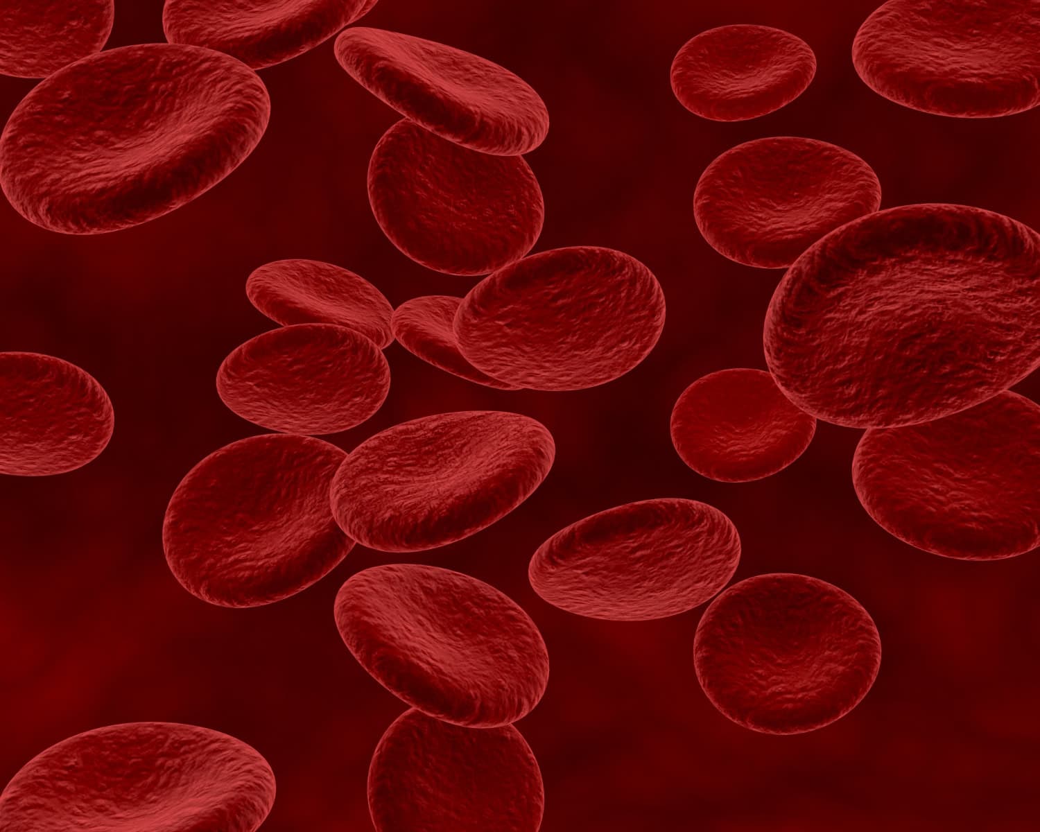 imagem representando as celulas vermelhas do sangue