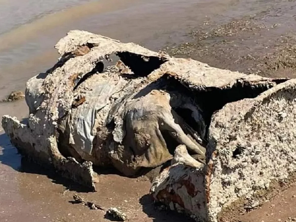 EUA identifica corpo de homem morto em1980 e achado em barril em 2022