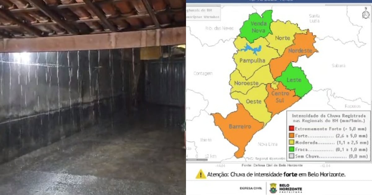 Temporal derruba árvores, atinge veículos e impacta fornecimento de luz de 320 mil clientes na Grande BH