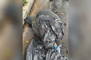 Polícia investiga 12º corpo achado sob condições parecidas em 47 dias em SP